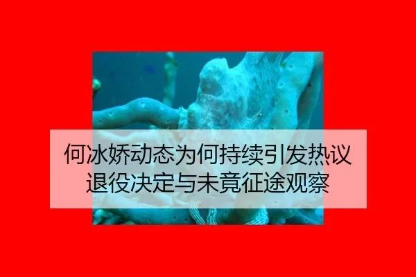 何冰娇动态为何持续引发热议 退役决定与未竟征途观察